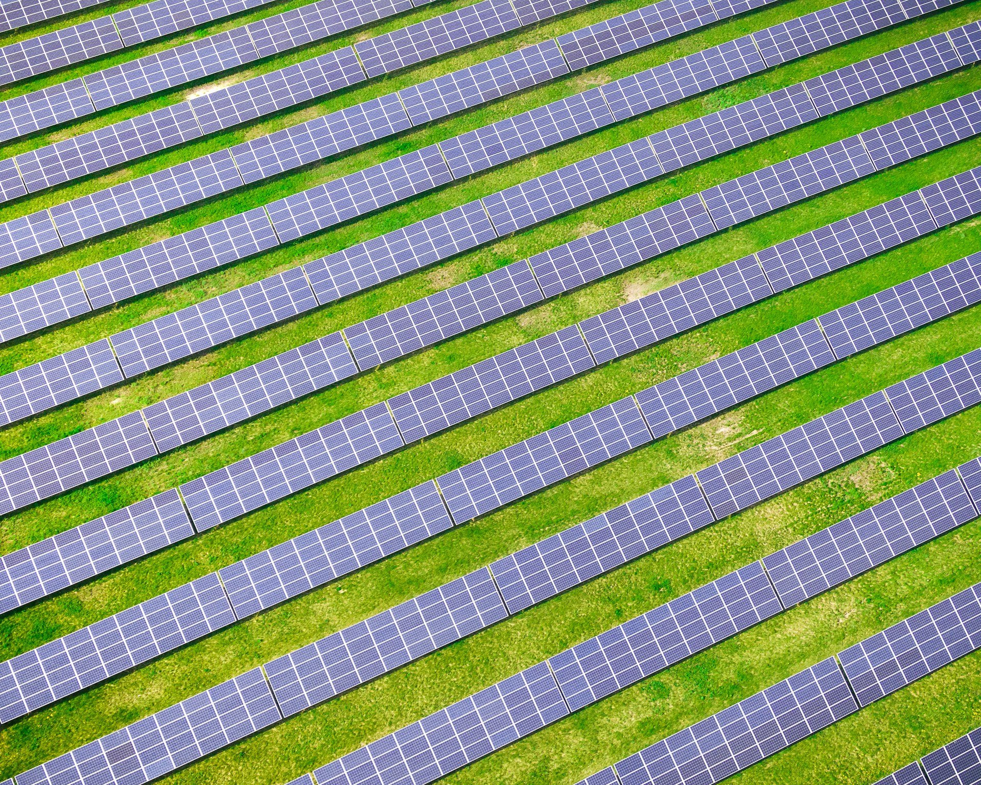 Solar panels in a field