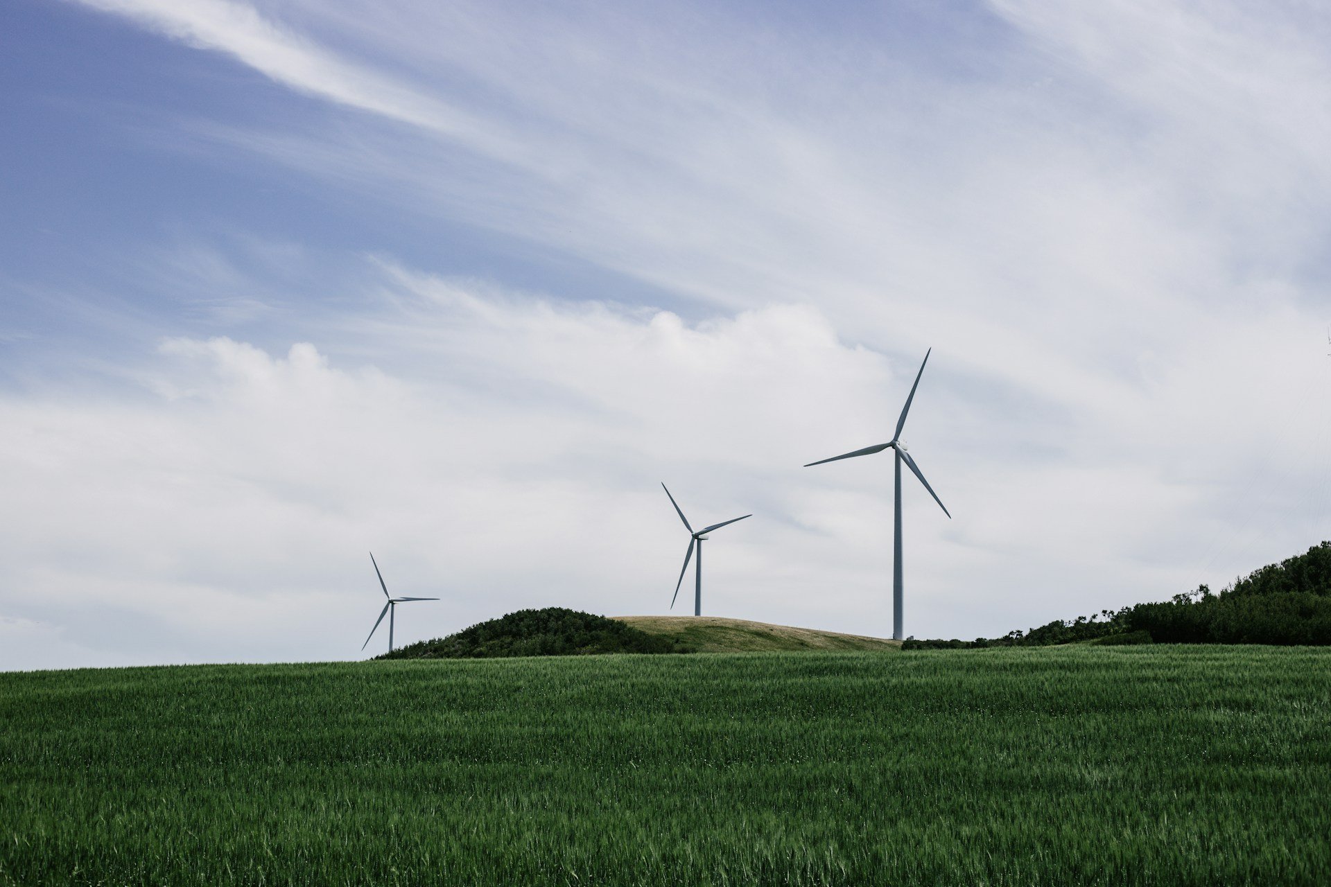 Wind turbine in a field