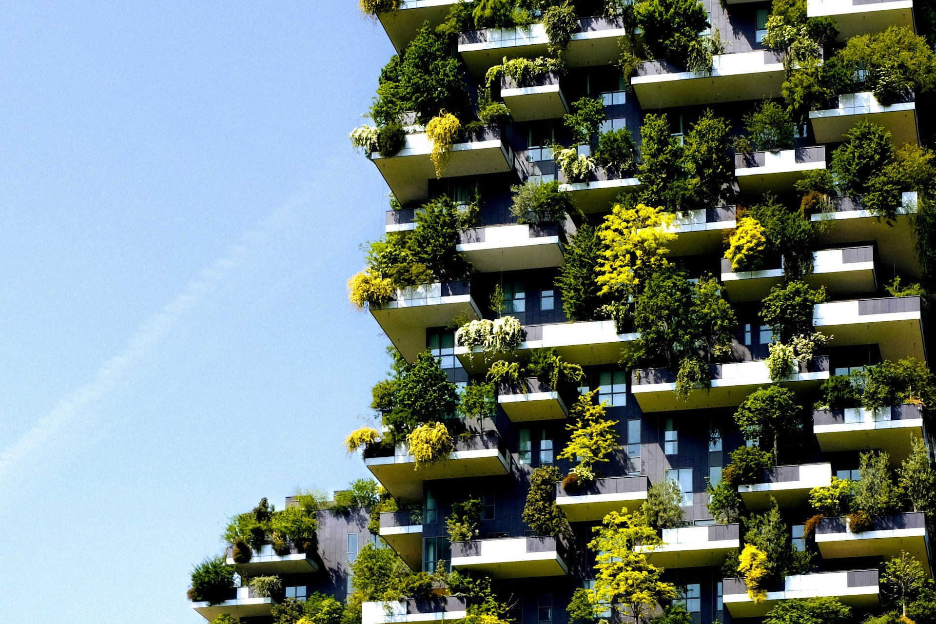 tall building with plants growing on it
