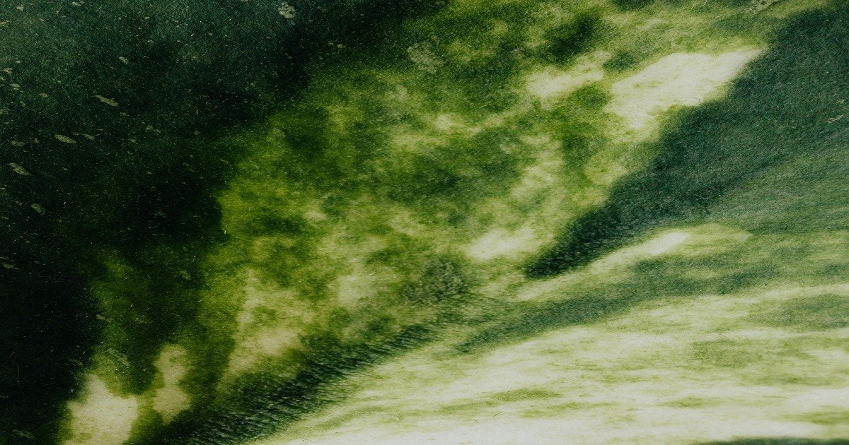 abstract green blur